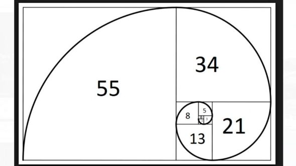 secuencia-de-fibonacci-2-990x556